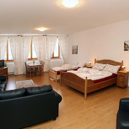 U Chodskeho Hradu 4* Domažlice